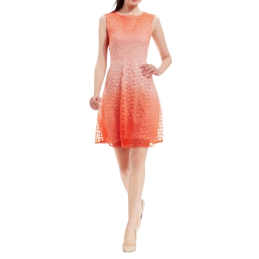 Sandra Darren Sleeveless Lace Dress